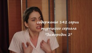 Содержание 142 серии турецкого сериала «Зимородок 2» (РФ, 2023)