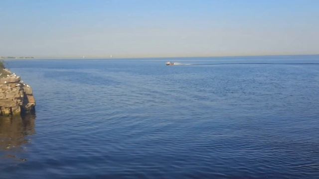Wellboat 45i и Yamaha F40FETS Финский залив смотреть онлайн