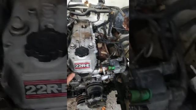 1988 4th Gen Toyota Hilux Engine Oil Leak Diagnosis & Disassembly смотреть онлайн