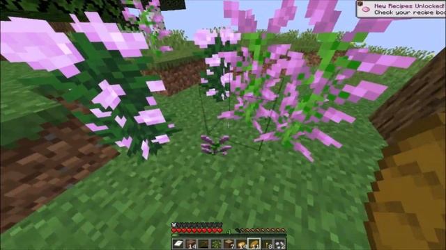 Summer of Minecraft 2023 Ep1 (1.20.1 Java) смотреть онлайн