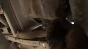 Замена моторного масла киа бонго 3 .