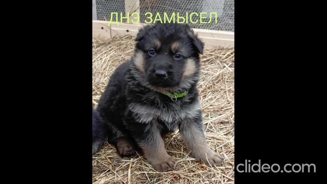 vid-20240401-140635_3guaYwPR.mp4 смотреть онлайн