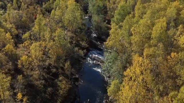 Норвегия | Красивые пейзажи | Природа Скандинавии - видео с дрона HD смотреть онлайн