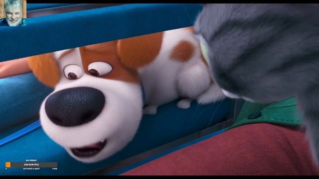 Тайная жизнь домашних животных 2 / Трейлер мультфильма / смотреть онлайн