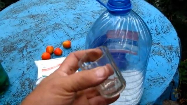БОРЬБА С ВЕРШИННОЙ ГНИЛЬЮ, готовим КОНЦЕНТРИРОВАННЫЙ раствор Кальциевой селитры смотреть онлайн