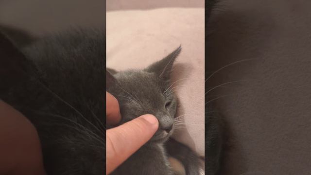 REMOVING HER EYE BOOGERS. смотреть онлайн
