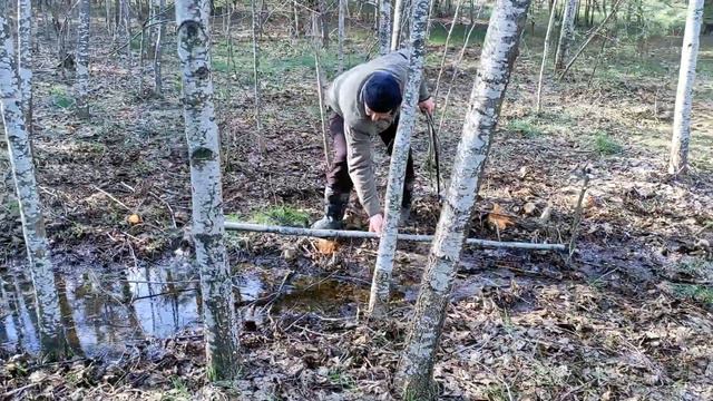Верба Козяча, посадка та щеплення смотреть онлайн