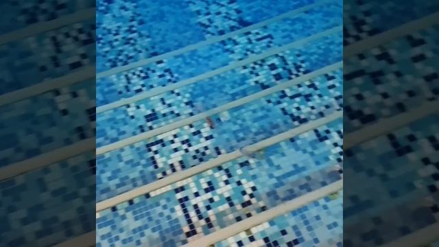 Чистая вода в бассейне. Как сделать?Задавайте вопросы и мы с удовольствием на них Вам ответим. смотреть онлайн