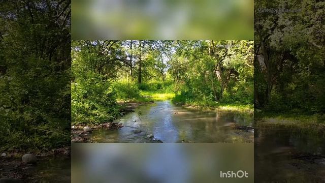 Как остерегаться от грехов, 10 причин. Шейх Мухаммад Ан-Наблюси смотреть онлайн