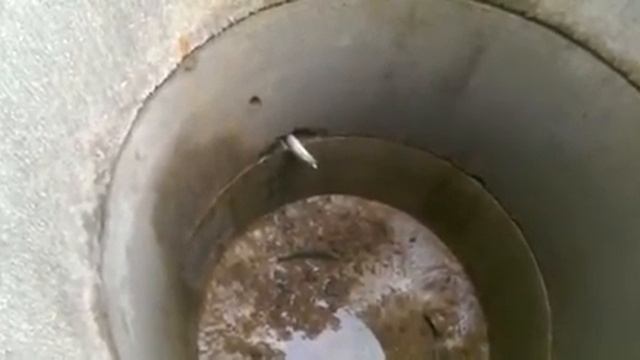 Прокол мини гнб, в колодец смотреть онлайн