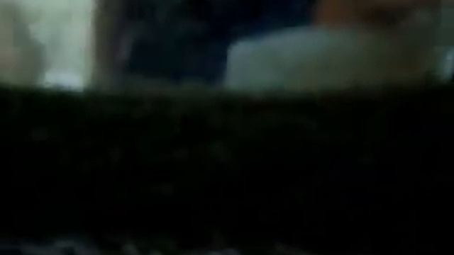 Животные. Нашествие комаров на пароходе. смотреть онлайн