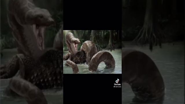 Daisy Daisy Give Me Your Answer Do TikTok Compilation смотреть онлайн