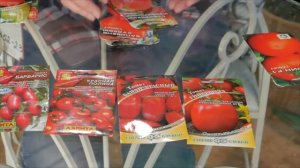 Обзор - Томаты для консервирования ? Помидоры на зиму - Выбираем лучшие сорта. огород