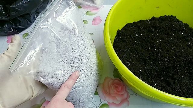 Фиалки. Секреты приготовления грунта смотреть онлайн