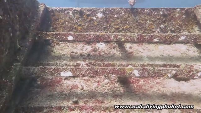 Дайвинг на Пхукете с русским дайвинг центром ACDC - остров Рача Яй смотреть онлайн