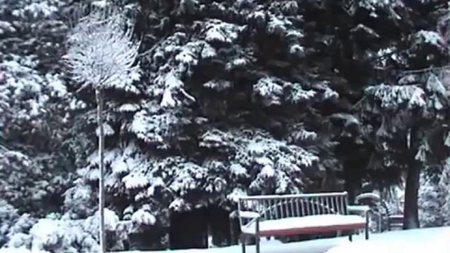 Презент 17.01.2015 ч.2 смотреть онлайн