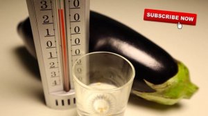 Замачивание семян баклажан перед посадкой   ? Как правильно и надо ли замачивать семена