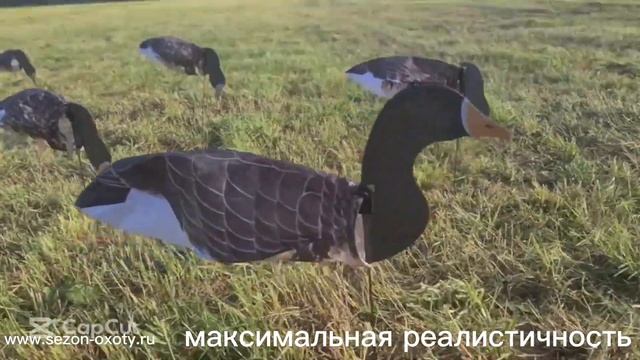 Чучела гусей , флюгера от производителя компании "Сезон-охоты" смотреть онлайн