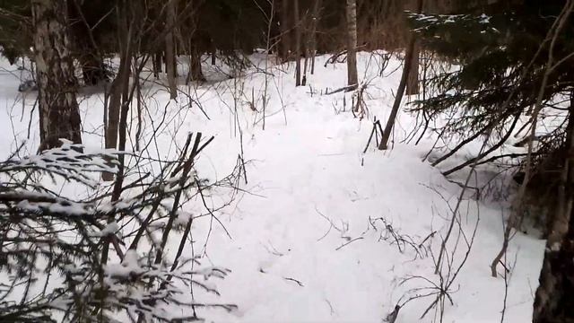 Зимний поход по островам Выборга смотреть онлайн