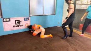 Female wrestlers submissions | Intergender wrestling(52)