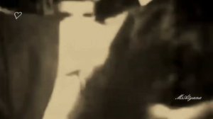 Ретро 60 е - Джордже Марьянович - Маленькая девочка / Devojka mala (клип)