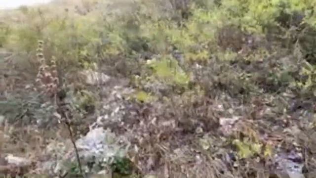 Climbing The Unique TORATAU Shikhan Mountain in Bashkortostan, Russia. LIVE! смотреть онлайн