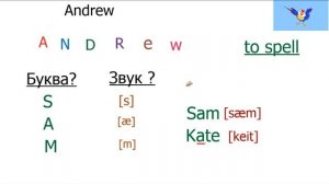 Английский алфавит. Правила чтения гласных и согласных звуков.