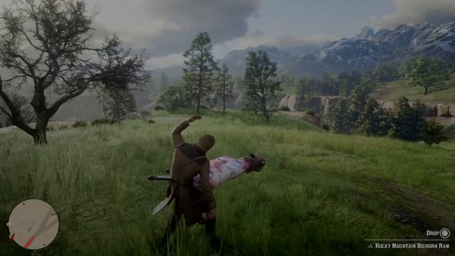 Red Dead Redemption 2 that not how you carrie animals смотреть онлайн