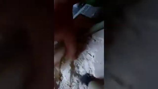 1.Раскопки динозавра Птиродактиль смотреть онлайн