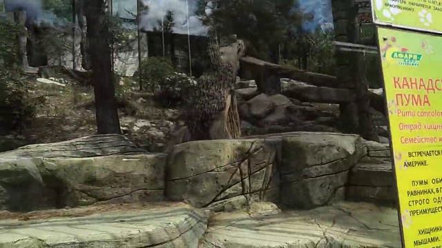 2019.09.07 Геленджик. Сафари Парк-17 смотреть онлайн