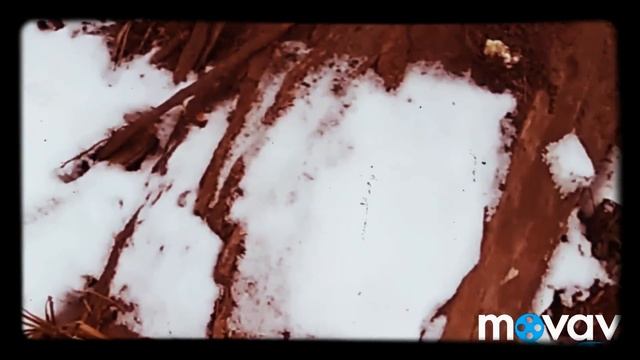 Лучшая коряга для аквариума. Легко. смотреть онлайн