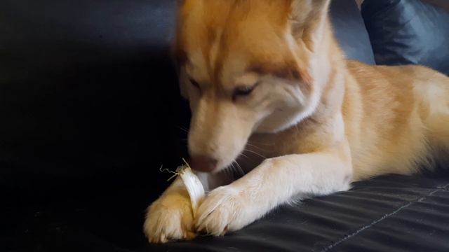 Как дела не родила? Два друга смотреть онлайн