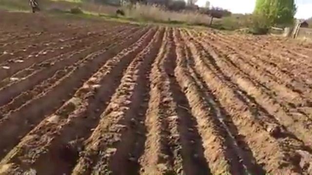 Самодельный мотоплуг (трактор) смотреть онлайн