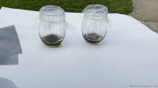 Simple Science Experiment to do at home or School Project for Grade 2, Grade 3, Grade 4, Grade 5 смотреть онлайн