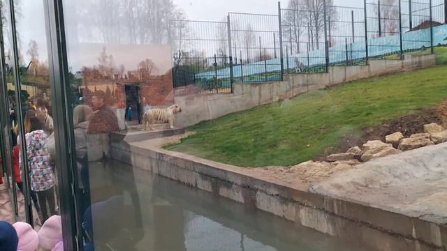 Ура!-Биосфера! 1часть смотреть онлайн