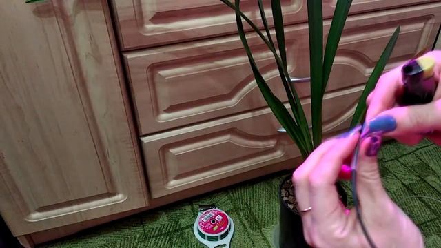 Опора для цимбидиума бесплатно смотреть онлайн