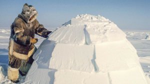 Как эскимосы строят иглу. Зачем трутся носами при встрече. Жизнь. Быт. Еда. Охота. Рыбалка | Факты