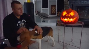 ЗОМБИ У ШЕРЛОКА ДОМА. БРОС ШОУ ПЕТ