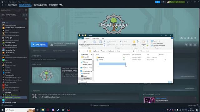 Это решения Проблемы в TModLoader