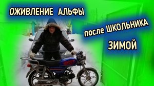 Оживление мопеда Альфа после школьника, зимой.