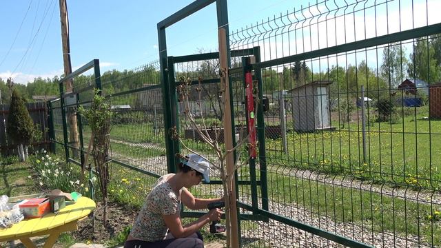 6 соток 21 мая 2024 года. Хроника.