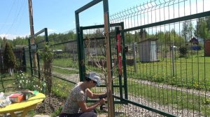 6 соток 21 мая 2024 года. Хроника.