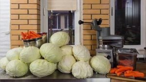 3 сорта капусты для квашения и хранения на зиму