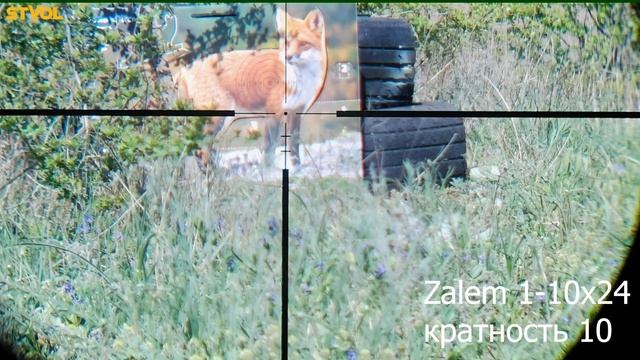 Разнообразие прицельных сеток от Vector Optics смотреть онлайн