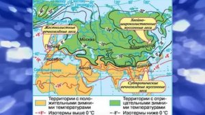 География 7кл. §46 «Евразия: Образ материка (2)»