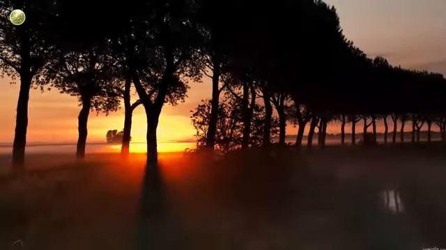 Пророк Мухаммад (да благословит его Аллах и да приветствует)_HIGH смотреть онлайн