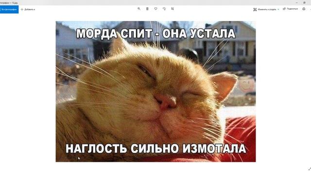 РЖАКАБУМ 3 - Смех до слёз! Проверь своё чувство юмора! Смешные картинки животных. Ржачь и Юмор 201 смотреть онлайн