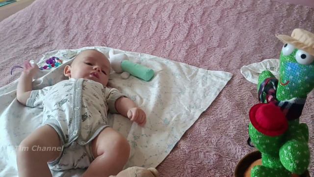 VLOG Поющий кактус развлекает Тима смотреть онлайн