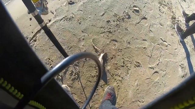 РЫБАЛКА НА ПЕСЧАНОМ БЕРЕГУ ИРТЫША! СТЕРЛЯДЬ, НАЛИМ И ЯЗЬ НА ДОНКУ! смотреть онлайн