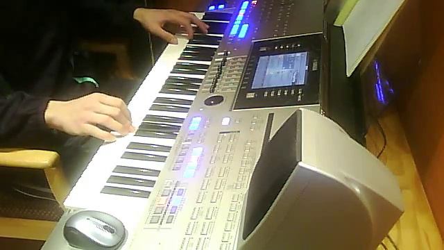 Tyros 4 - House of the Rising Sun смотреть онлайн